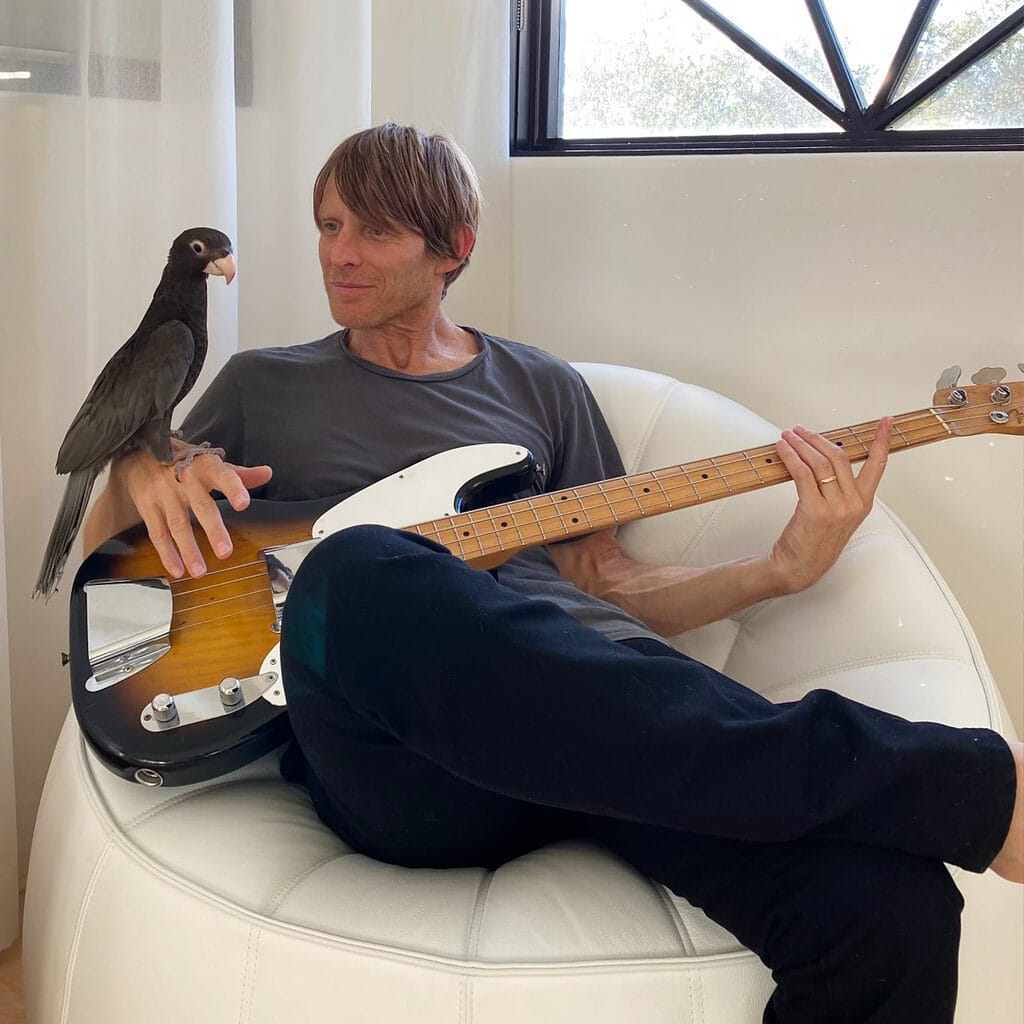 Chris Chaney sat in a chair with a bass guitar and a parrot on one hand.