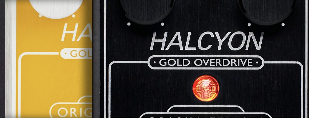 Halcyon Gold Button